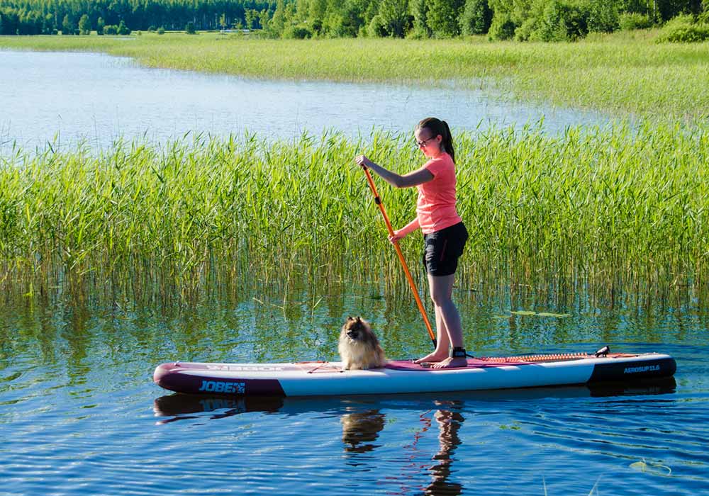 ohjelmat keskisuomi